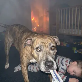 They Called Her Dangerous and Wanted Her Gone. At 2 A.M. in a Burning House, She Was the Only One Who Knew Where the Baby Was.