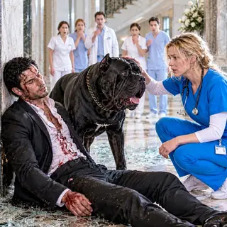 No One Could Approach the Unconscious Mafia Boss — Until His Guard Dog Picked a Poor Nurse…