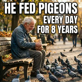 The Old Man Fed Pigeons in the Park Every Day. His Reason Will Haunt You.